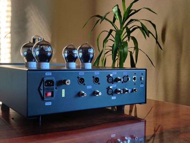 Rear panel: XLR and RCA out, four digital inputs