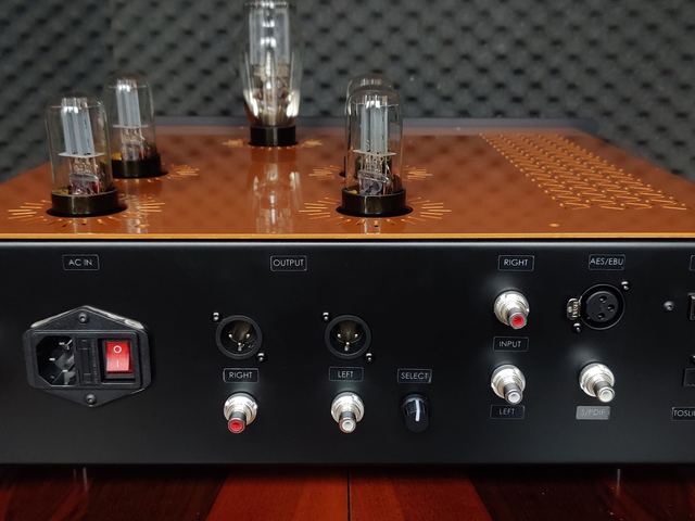 Rear panel: balanced XLR, RCA, rotary input select