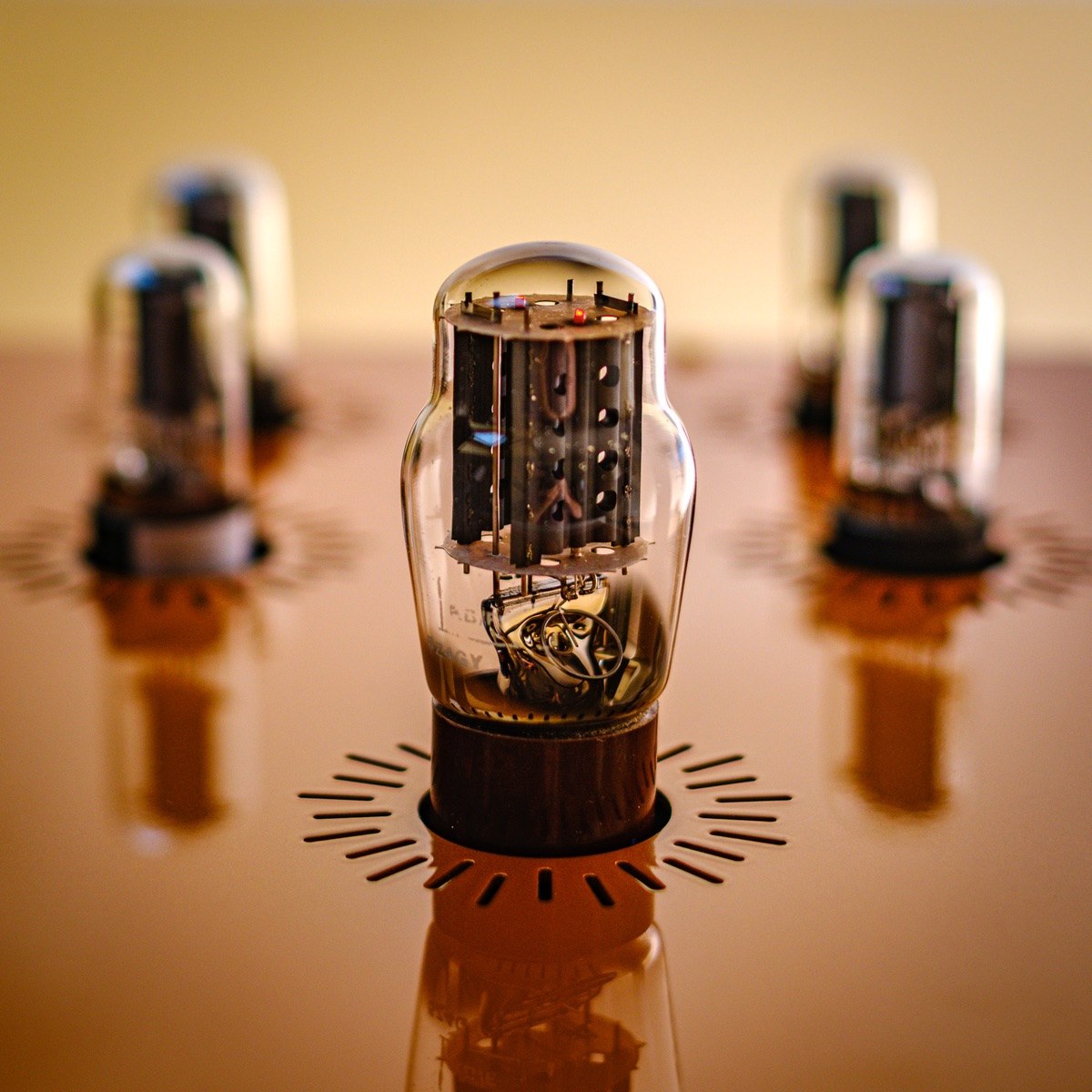 Close view of a 6SN7 signal valve seated in the copper top plate